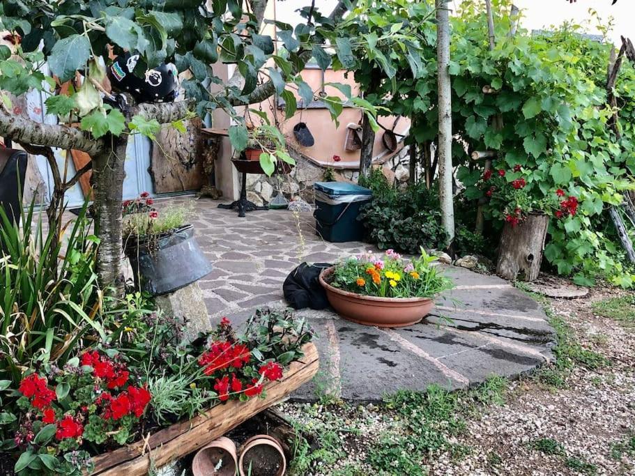 Casa Dell'Antica Norba, Norma - Big House Daire Dış mekan fotoğraf