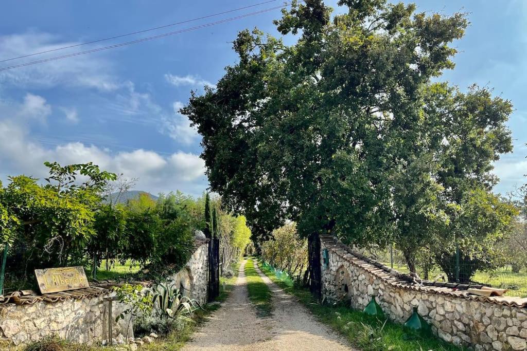 Casa Dell'Antica Norba, Norma - Big House Daire Dış mekan fotoğraf